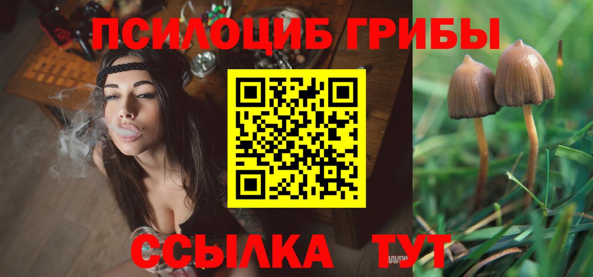 Псилоцибиновые грибы Psilocybine cubensis  Псилоцибиновые грибы MAGIC MUSHROOMS  Петровск  Вход с VPN 